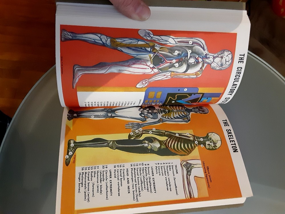 1966 American Red Cross First Aid Textbook 4th Edition Green
