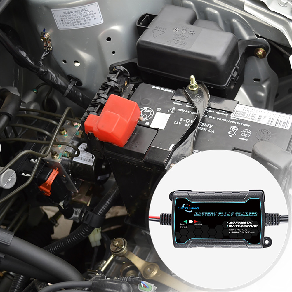 MICTUNING 6V 12V Intelligent Fully Automatic Battery Float Charger / Maintainer