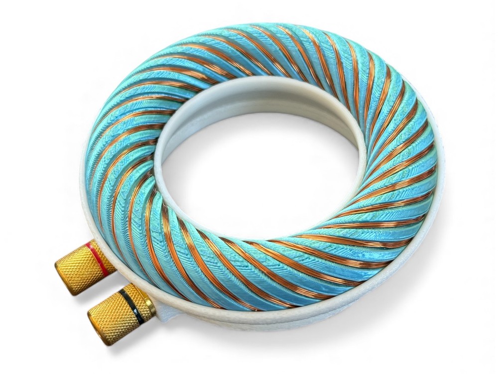 Rodin coil Scalar Wave toroidal field generator module