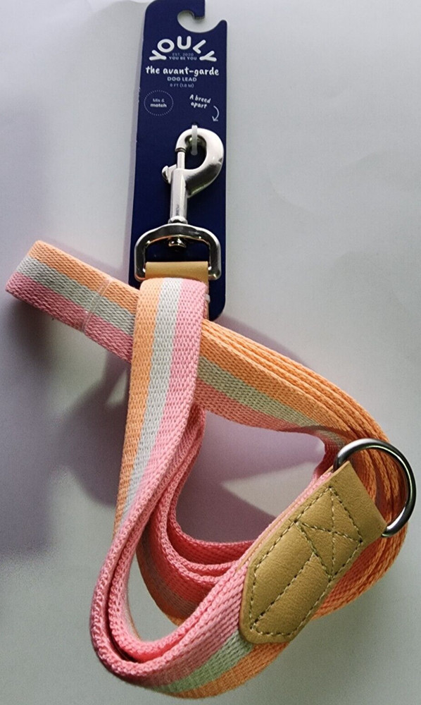 YOULY Creamsicle Dog Leash, 6 ft.
