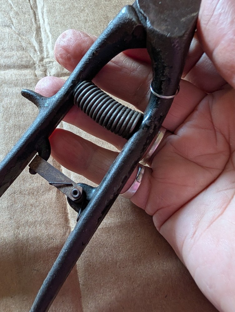 Rare True Temper #55 vintage grass clippers