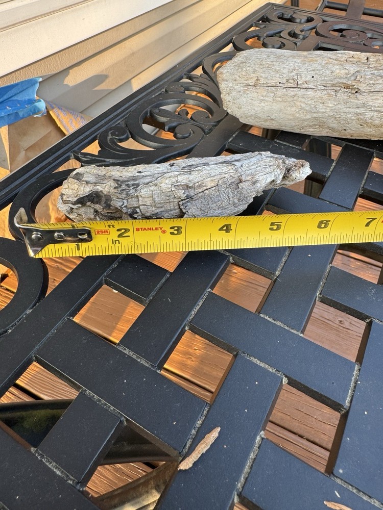 Driftwood