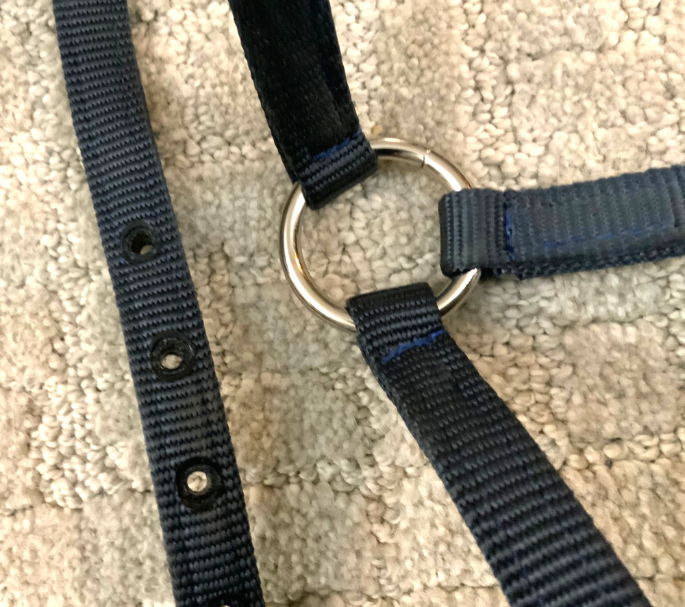 small pony halter
