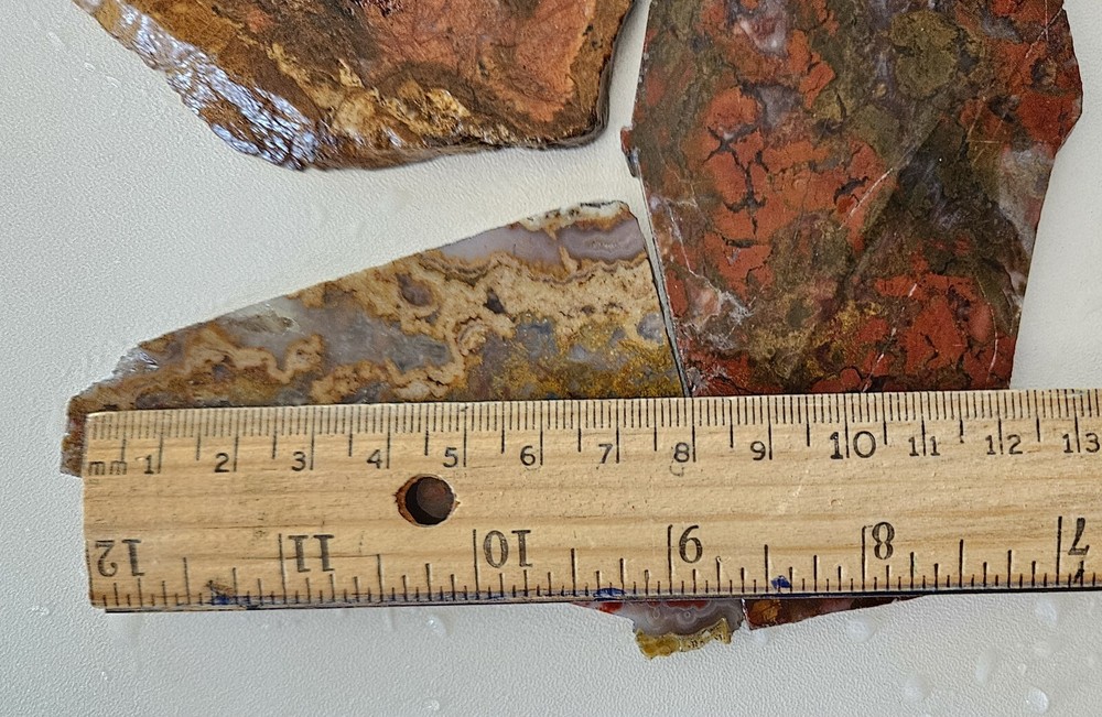 Three Miscellaneous Lapidary Slabs Plume Agate Lapidary 195 Grams
