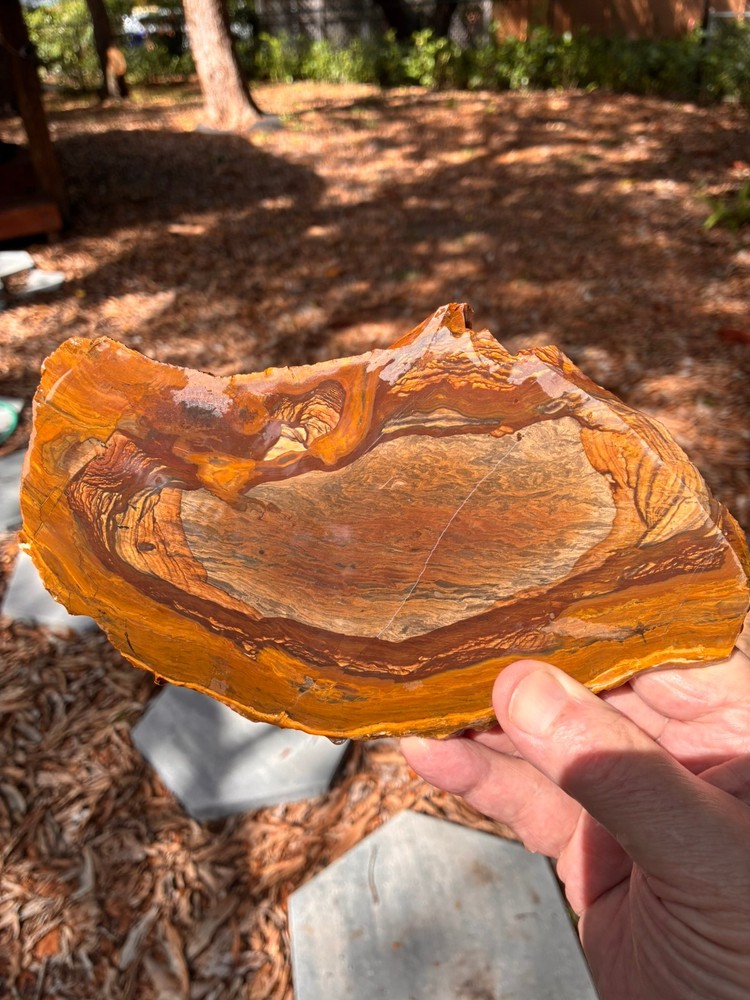BIGGS JASPER SLAB GREAT SIZE AND PATTERNS 316.5g GOOD OLD STUFF