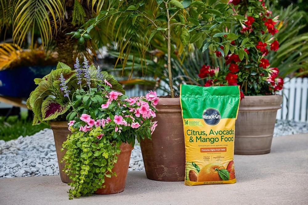 Slow-Release Citrus, Avocado & Mango Food, 20 lb for Maximum Fruit Production