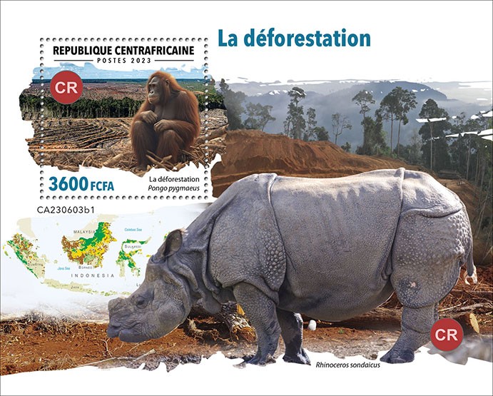 Deforestation