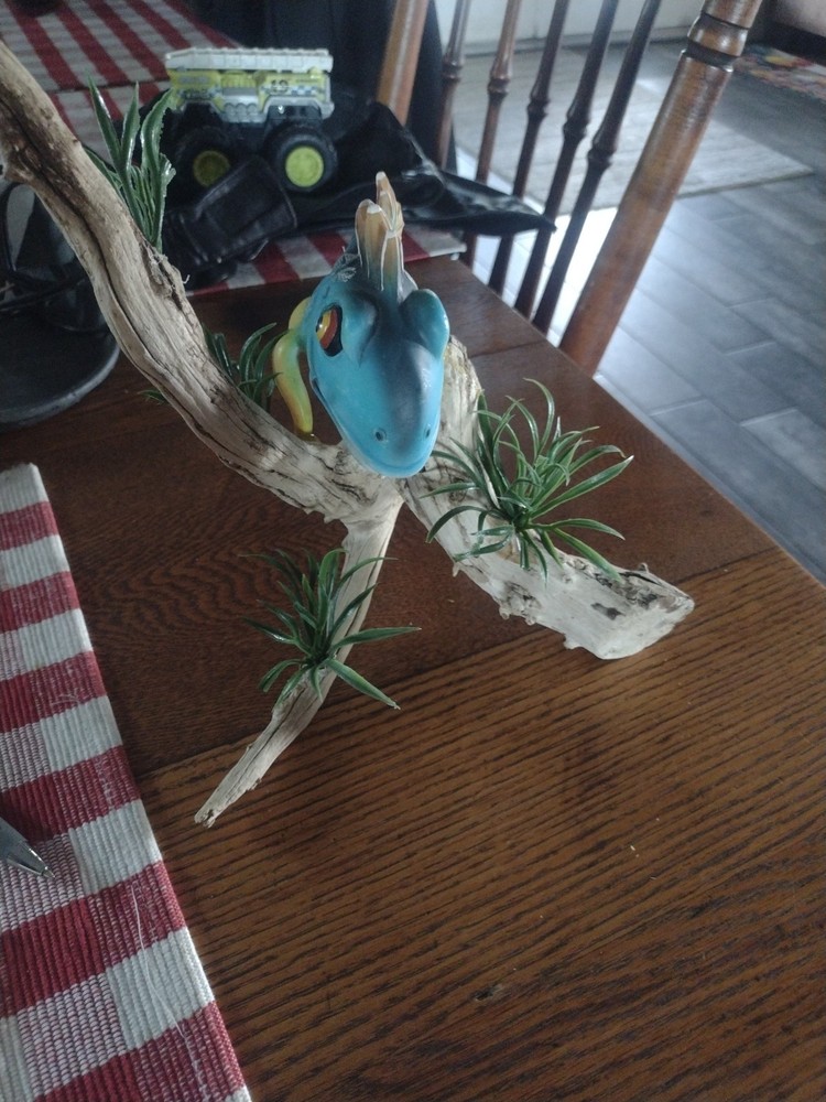 Moss Eater Flexi Fish On Driftwood