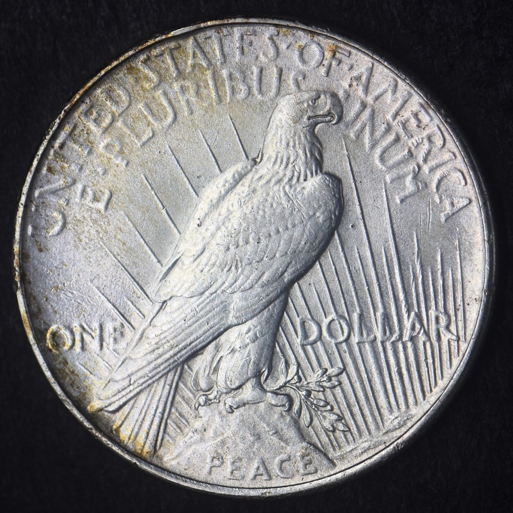 1934-P "High Grade" Peace Silver Dollar $1- COINGIANTS -