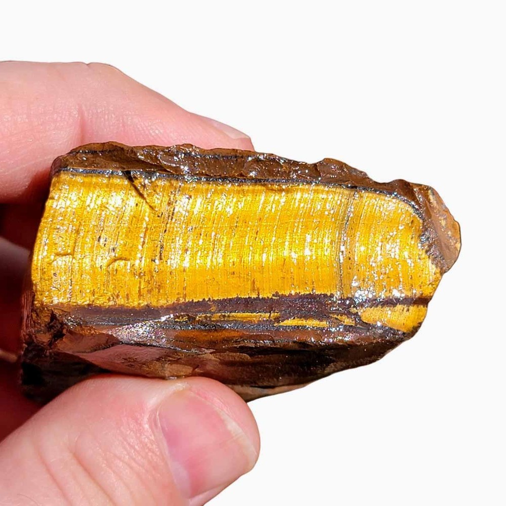 Random Pull Golden Tiger's Eye Rough! Chatoyant Display!