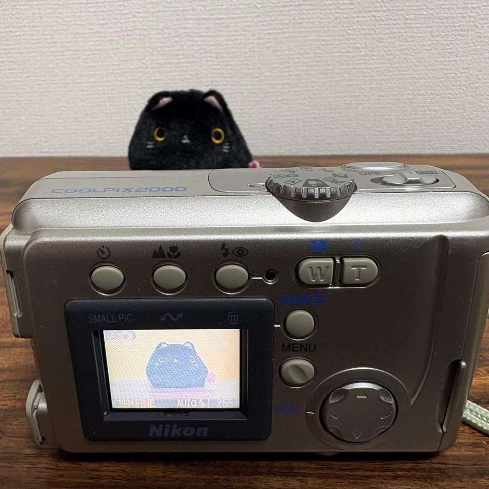 Nikon COOLPIX E2000 Compact Digital Camera Tested Zoom Flash AF Features