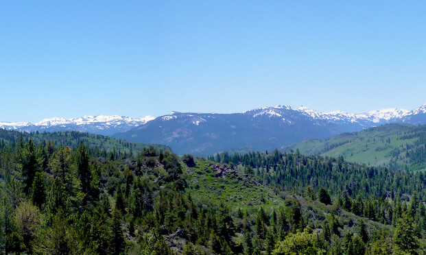 TrainJunkies Sierra Range Model Railroad Backdrop