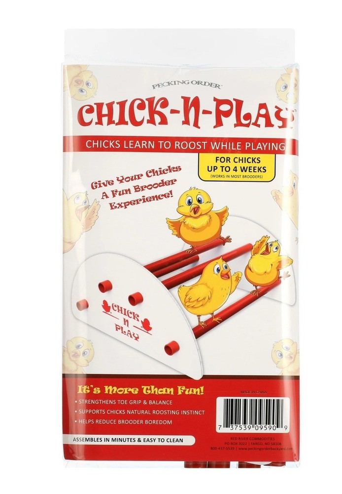Chick-N-Play, Small in Size - Great for Chicks