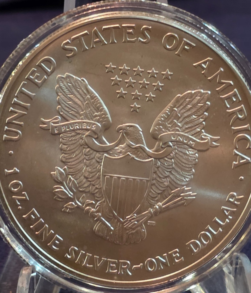 2003 Walking Liberty Silver Dollar Painted on the front Original Silver on Back