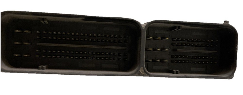 Bosch Denoxtronic Control Module 0-281-020-225