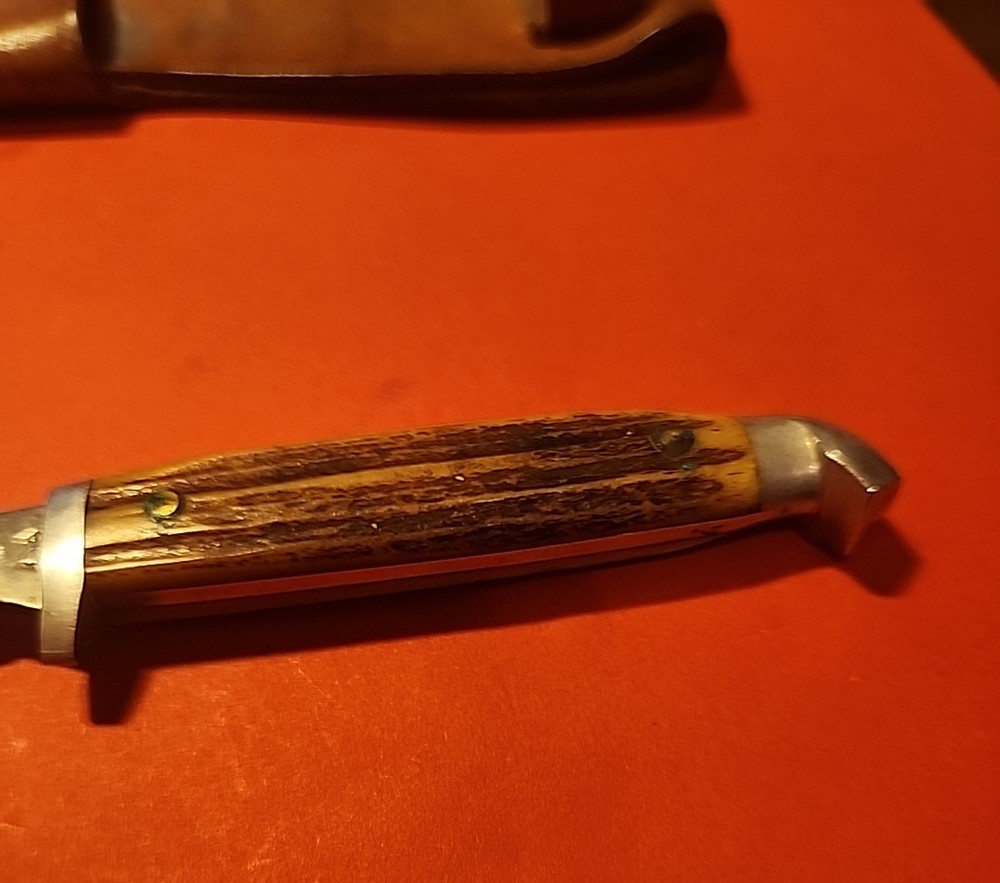 Vintage Queen fixed 3in Blade Bone handle/sheath