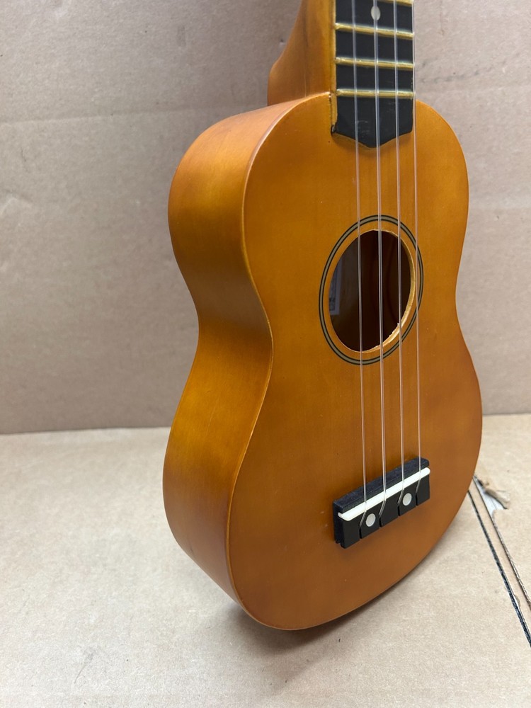 Teach Yourself To Play Ukelele Pack (Strings,Bag,Book)