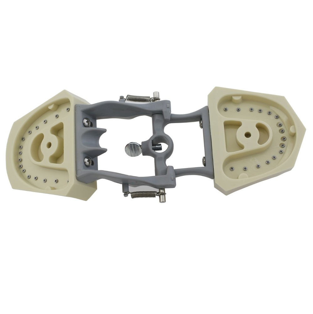 Columbia Dentoform 860 Dental Typodont Model Mounting Pole 32pcs Removable Teeth