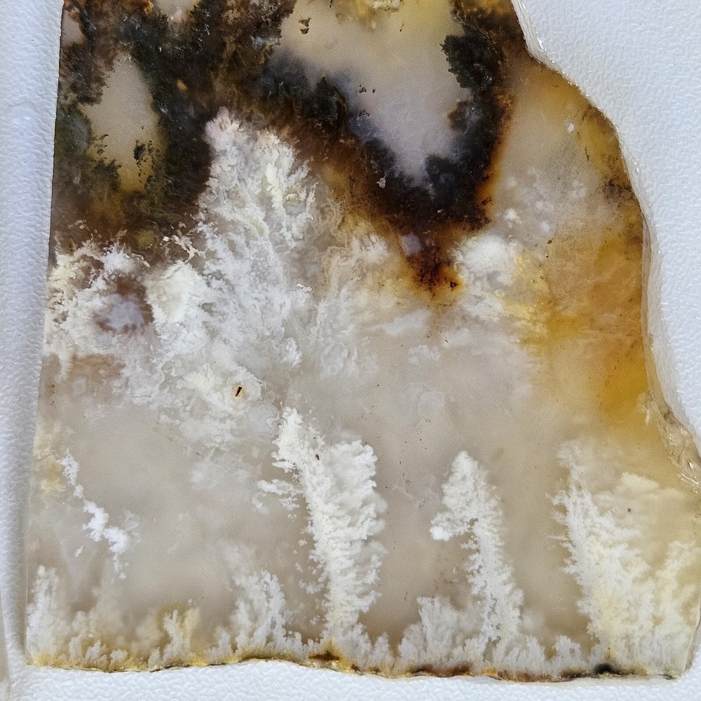 Nice Graveyard Plume Agate Lapidary Slabs 76 Grams