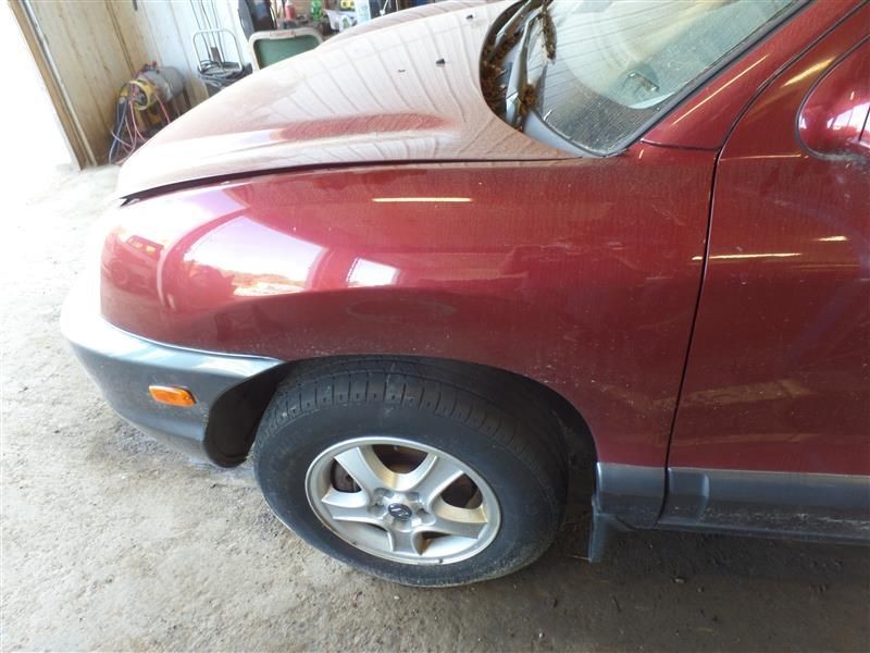 SANTA FE 2002 Rocker Panel Moulding 9862582