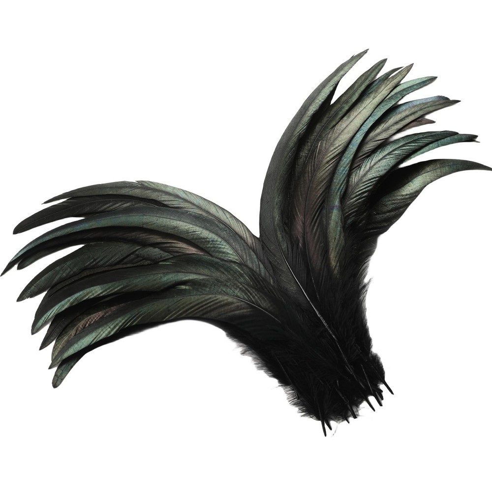 Long Rooster Tail Feathers Bulk, 60Pcs, Costume Decor, Black