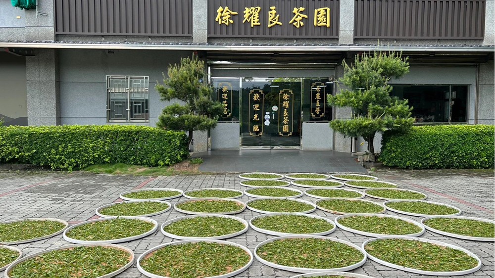 New 徐耀良茶園 客家酸柑茶 300g