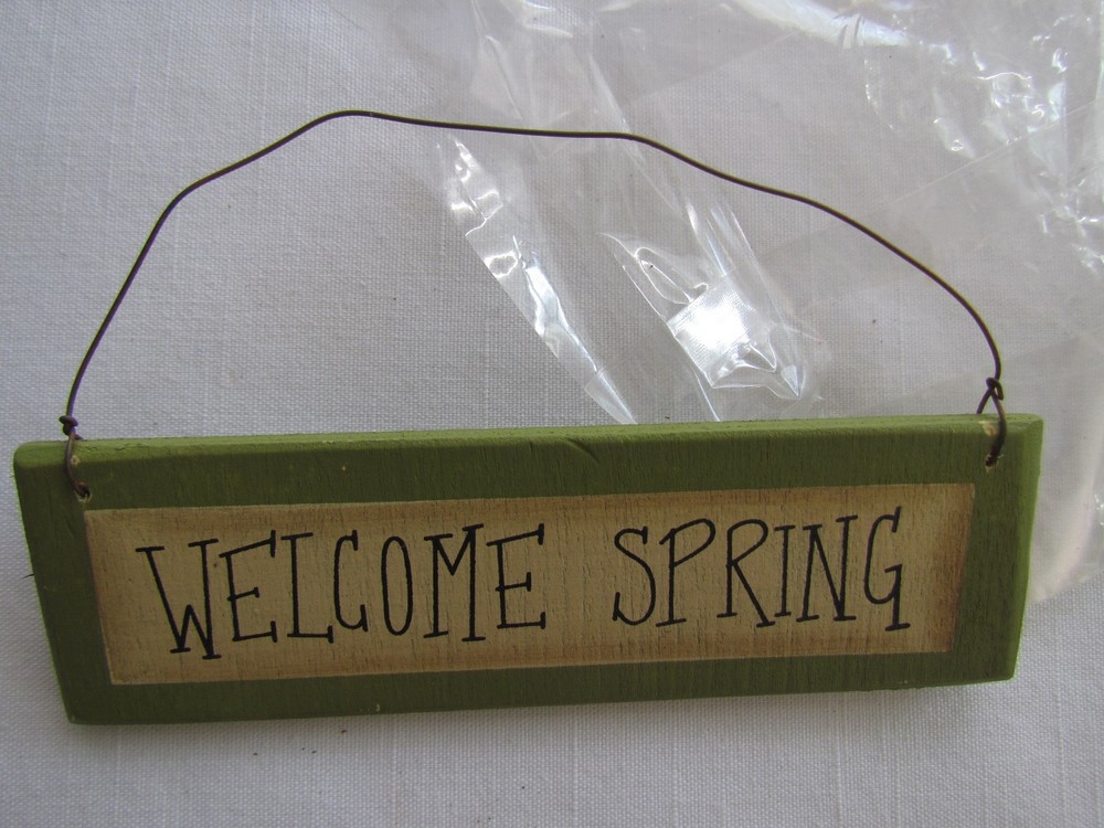 Welcome Spring Ornaments Bunny Chick Egg Tulip 5pc RO-232 NEW Collins Easter