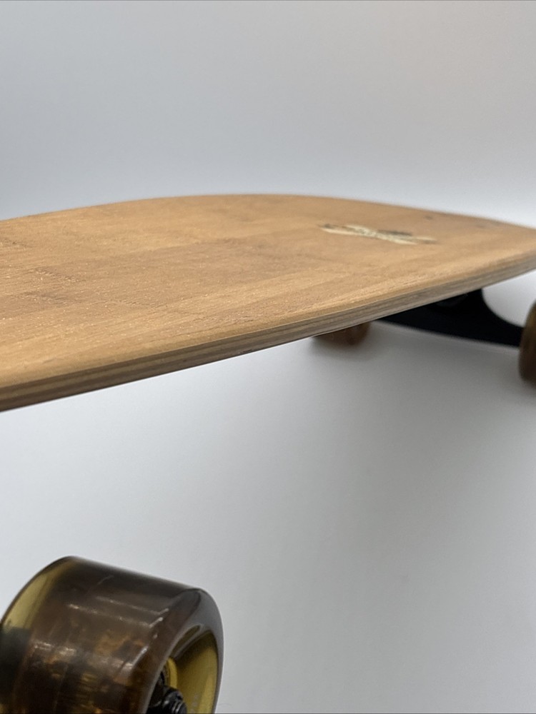 Arbor Fish Bamboo 37 inch Complete Longboard