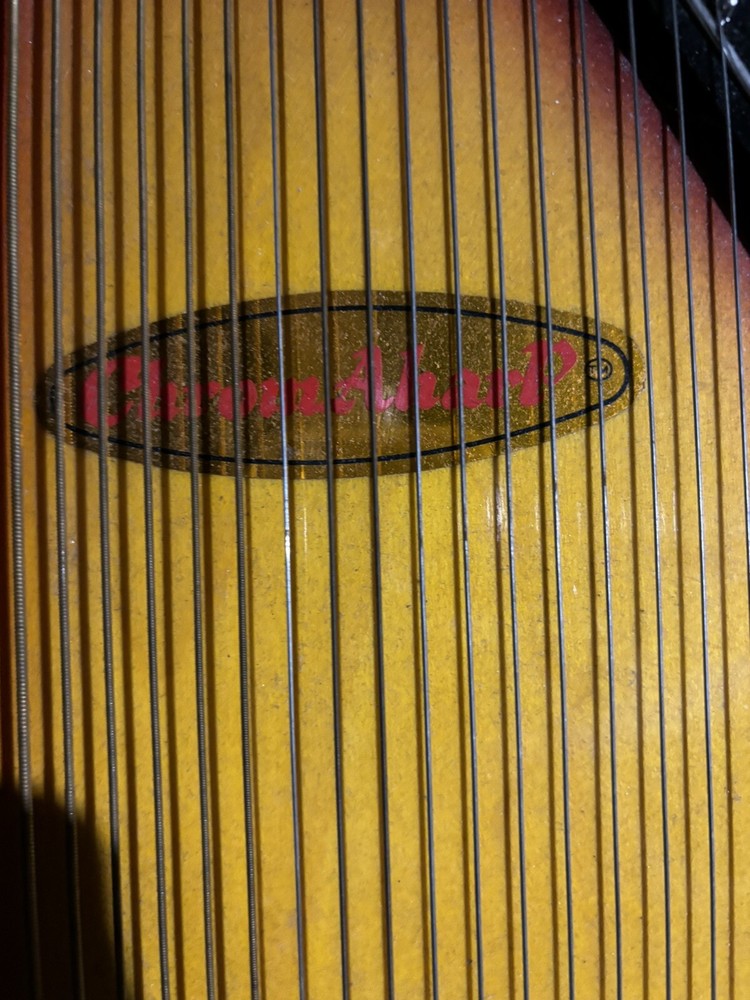ChromAharP by Rhythm Band Autoharp
