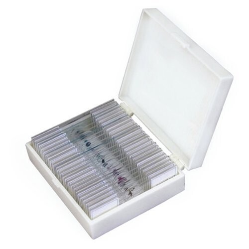 Slide Storage Box for 25 Slides