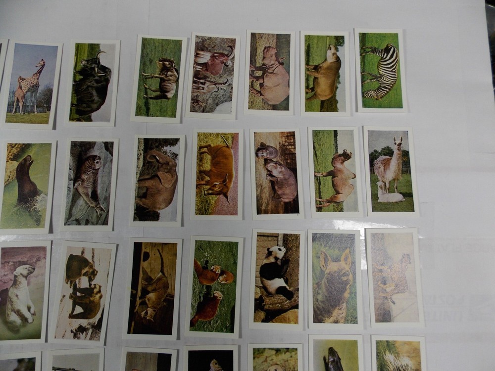 Hornimans Tea Cards Wild Animals Complete Set 48