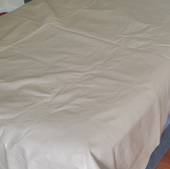 Light to Medium Tan Large Leather Hide | Chap Leather Sides