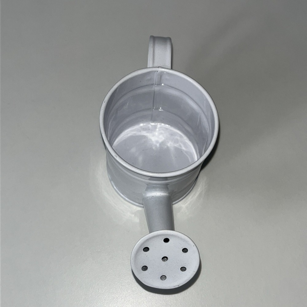 Mini Watering Can Planter Garden Bucket Rustic Versatil White