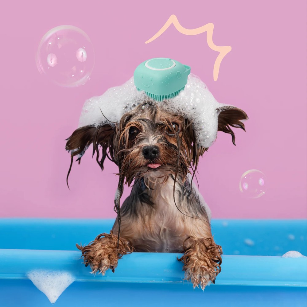 Silicone Pet Bath Brush – Blue