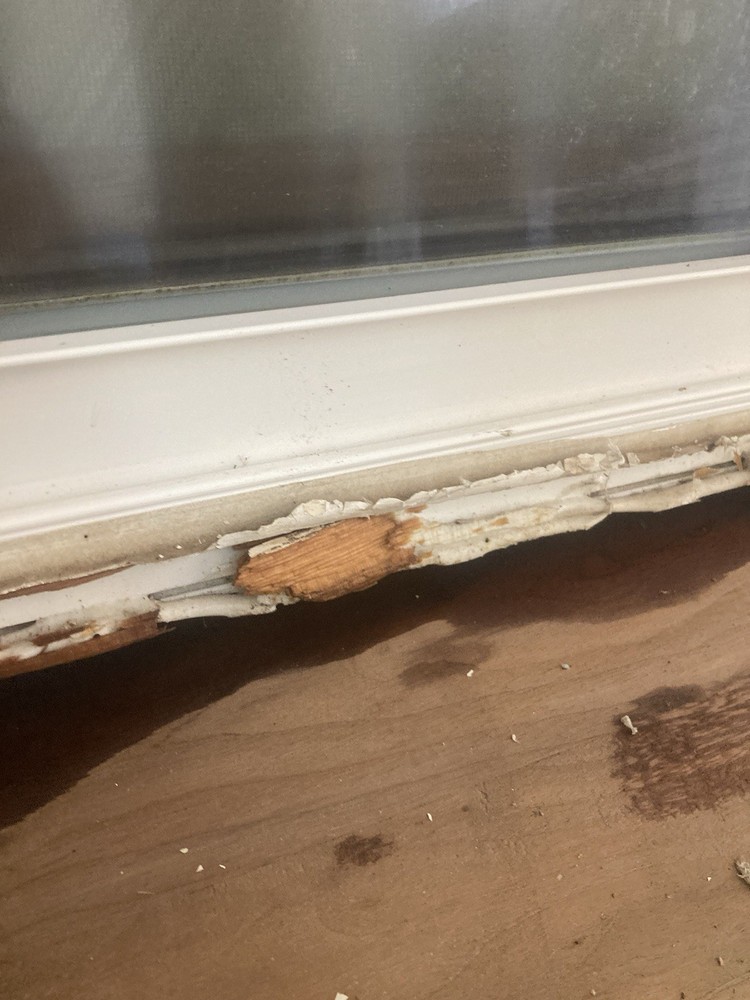 Double Hung Replacement Window 28-1/4 W 45-1/2” H Used