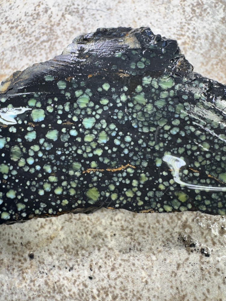 Natural Nevada Variscite rough star fox