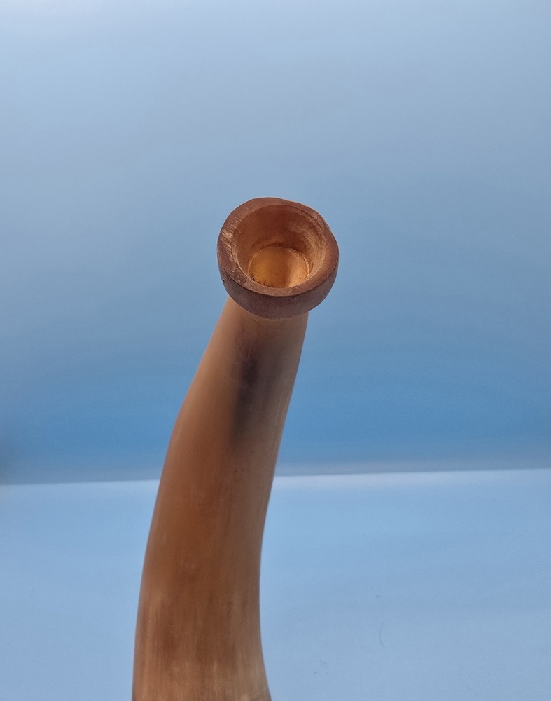 Antique Powder Horn