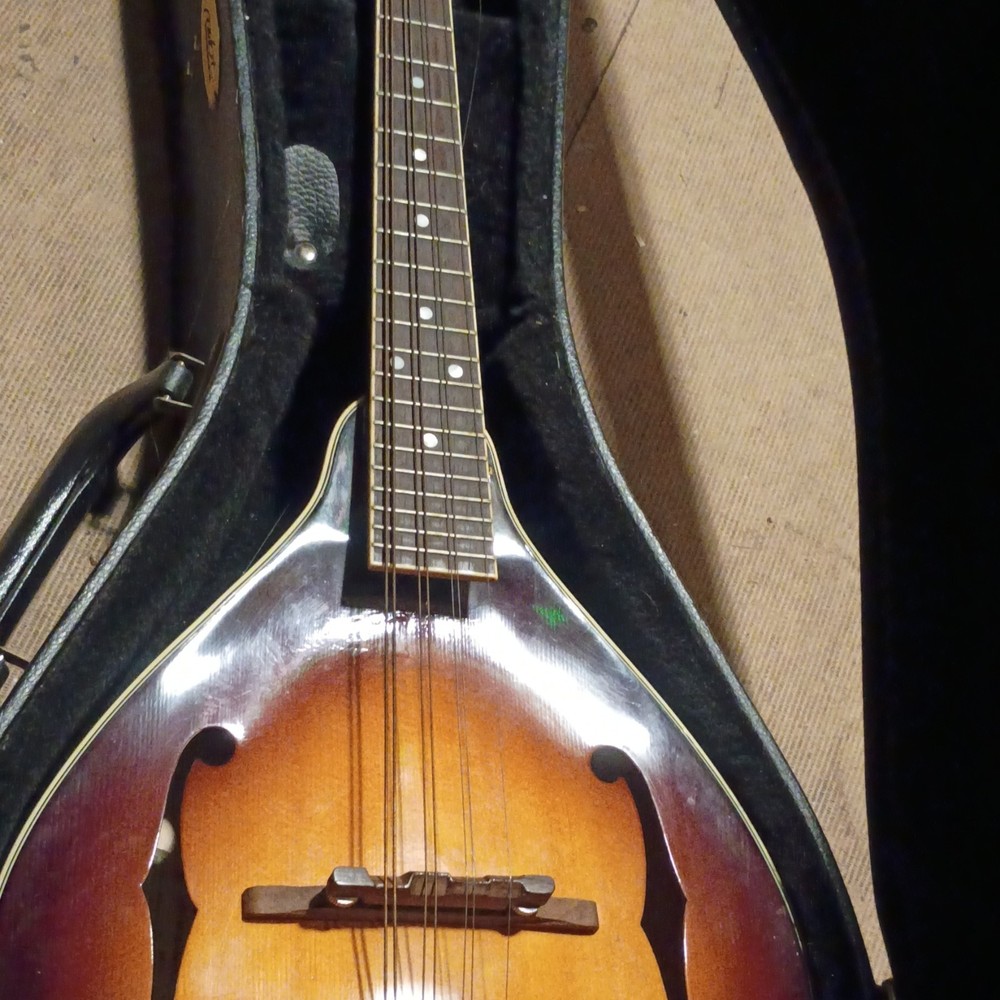 Savannah A Style Mandolin Sunburst 8 String with Hard Case