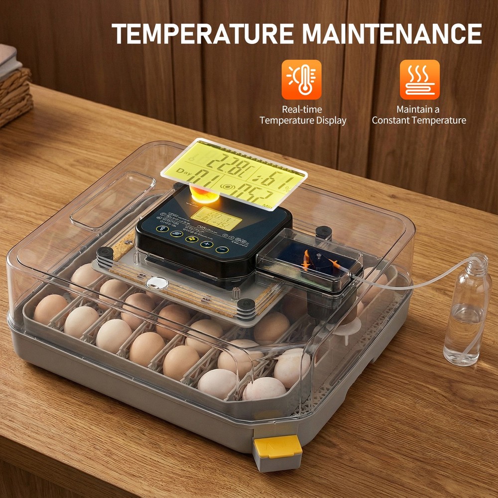 Automatic Egg Incubator for Hatching with Automatic Turning and Humidity-48 Egg