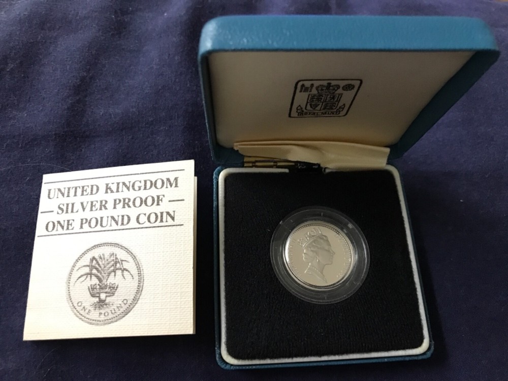 1985 Silver Great Britain 1 pound coin - T25
