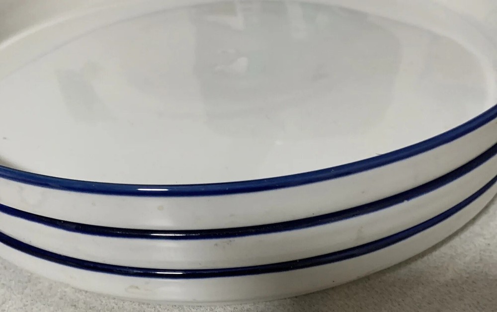 Mainstays 4-Piece Blue Rim Stoneware Dinner Ware plates.