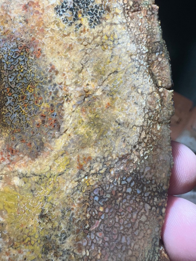 Dinosaur bone rough **hxtled slab.