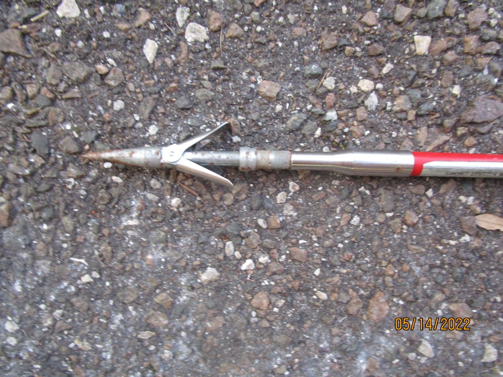 Sports Divers Spear 55"