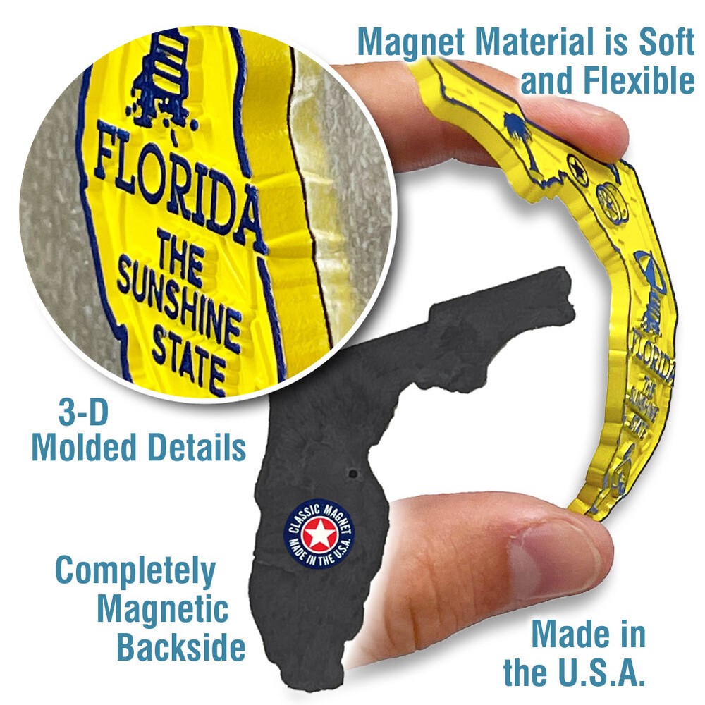 Florida Small State Magnet by Classic Magnets, 2.9" x 2.4"