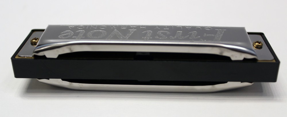 TROPHY CLASSIC FIRST NOTE DIATONIC 10 HOLE HARMONICA KEY OF C w/ INSTRUCTIONS