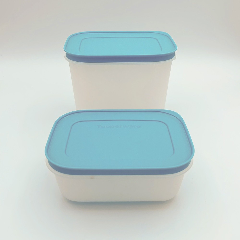 2 Plastic Tupperware Container for Freezer 450ml & 1.1 L Blue Covers