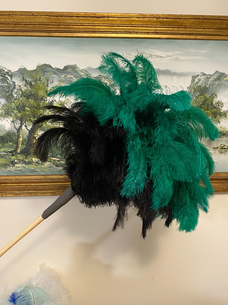 First grade ostrich feather display with 80grm 2 colour ostrich feathers -