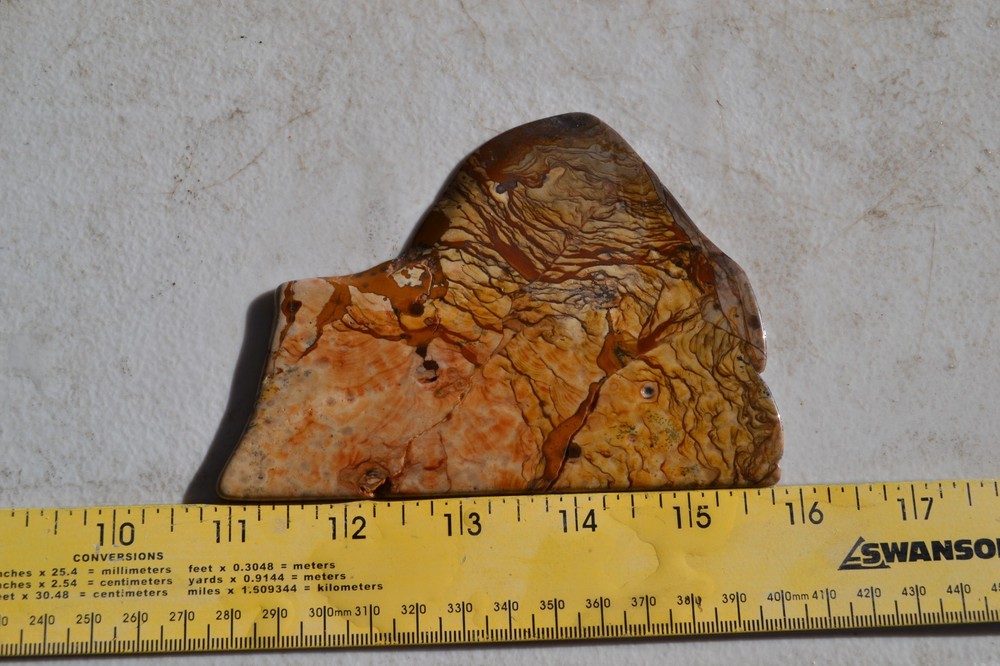 Biggs Jasper polished slab