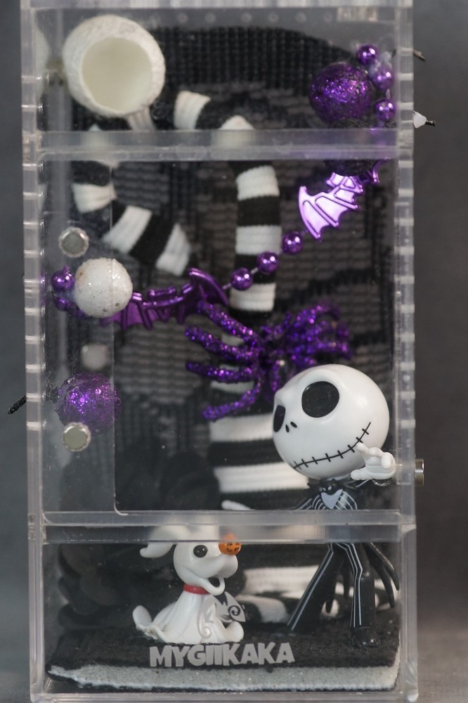 DIY Jumping Spider Enclosure – Custom Decor – Acrylic Case – Needs Sealing