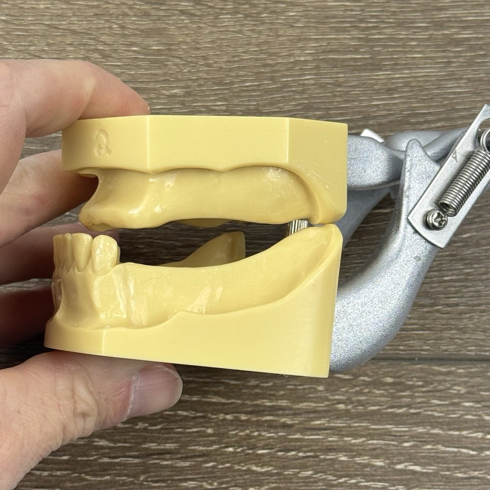 Kilgore Nissin TRM-480 Typodont Edentulous Partial Denture Model Practice